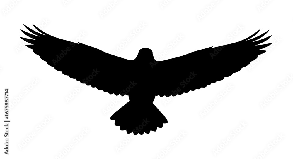Naklejka premium Majestic Black Silhouette of a Soaring Eagle.