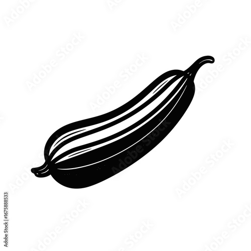 Zucchini elegant healthy monochrome culinary product black vector simple illustration silhouette