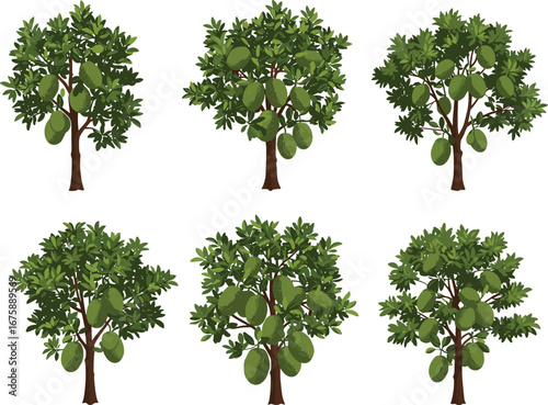 Vector Illustration of Avocado Trees with Green Fruit, Lush Foliage, and Healthy Growth for Agricultural and Organic Design
