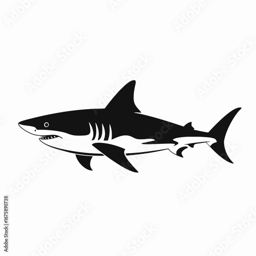 Majestic great white shark swimming powerfully predator fish vector ocean silhouette