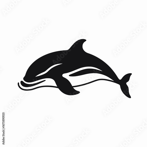 Striking orca killer whale swimming, a beautiful graphic mammal silhouette.