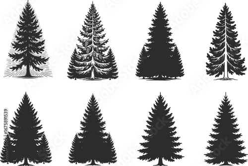 Vector Illustration of Black Silhouette Pine Trees with Different Shapes, Ideal for Nature, Forest, and Environmental Designs
