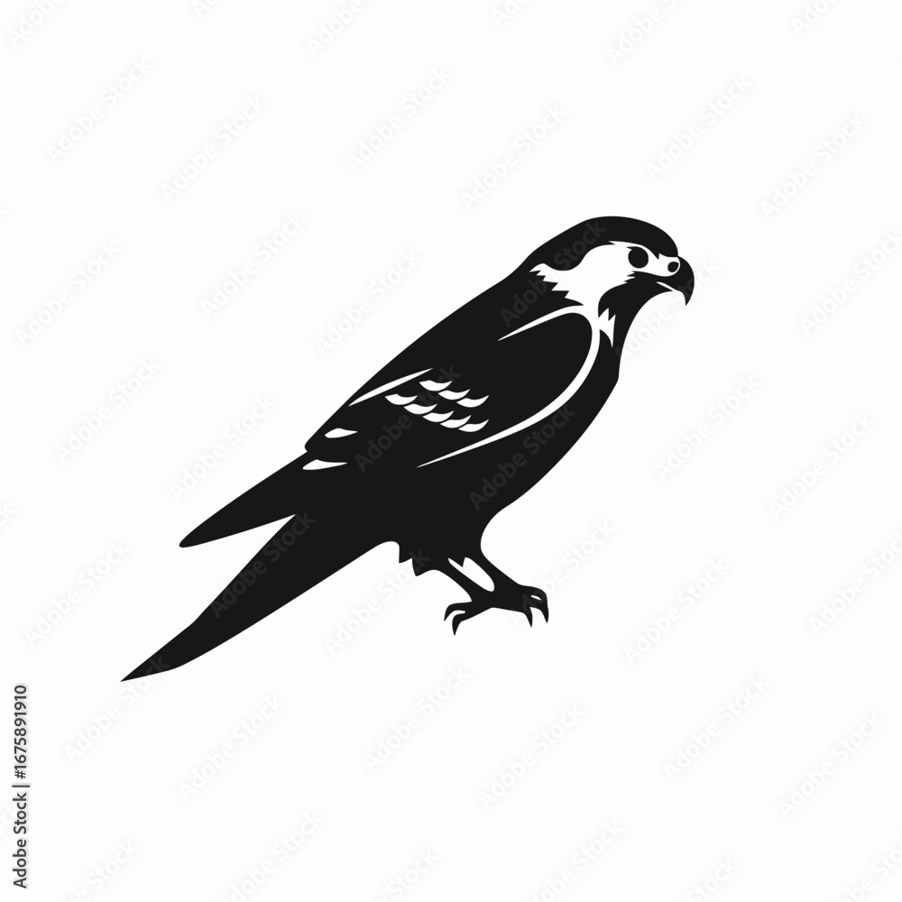 Fototapeta premium Striking bird of prey with detailed wings in solid black silhouette