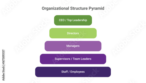 Organizational Structure Pyramid Infographic Design