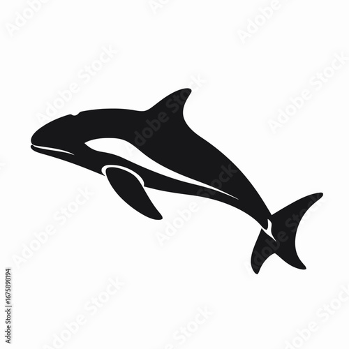 Captivating orca whale leaping elegantly from the depths ocean waters, monochrome silhouette
