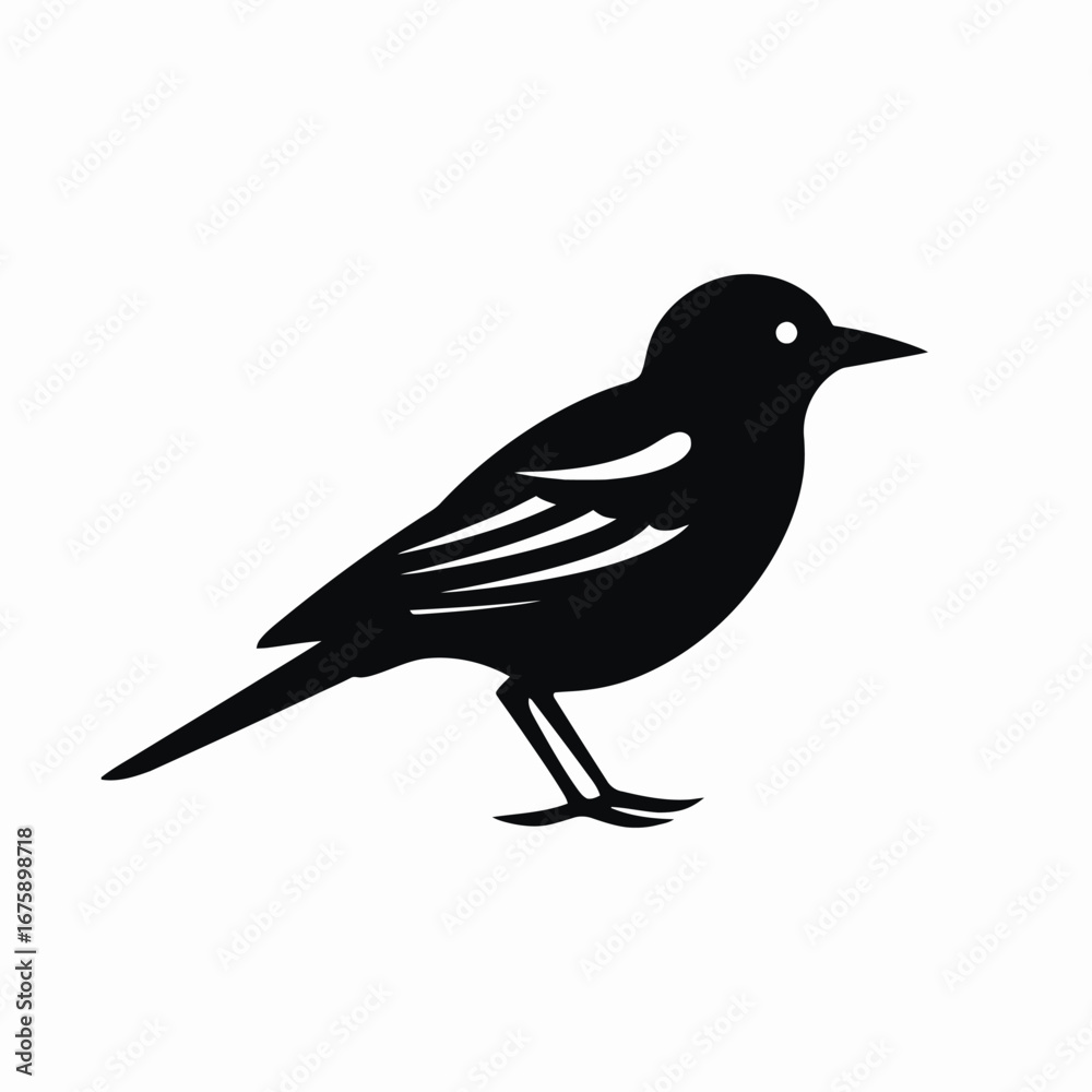 Obraz premium Elegant black bird vector illustration showcases intricate feather details silhouette
