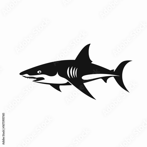 Striking predatory great white shark swimming in black and white silhouette