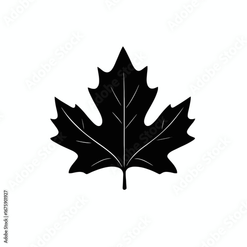 Striking bold oak leaf on white background, detailed black shape silhouette