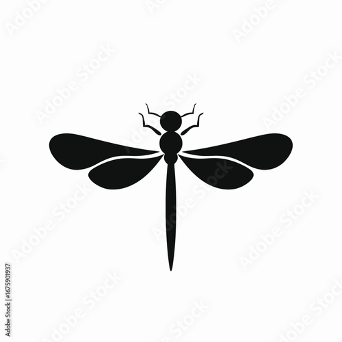 Graceful dragonfly with outstretched wings creates a stunning minimalistic silhouette