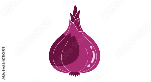 A vivid illustration of a single red onion showing its distinct layers and root structure