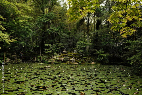 Tableau sur toile pond in the park