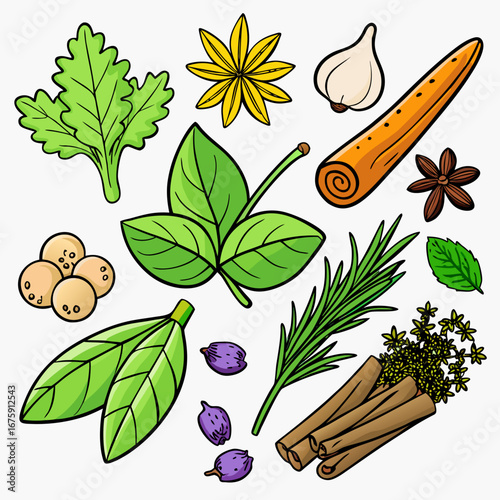 A colorful collection of assorted herbs and spices, with some floral elements like leaves and flowers, captured in a vibrant illustration