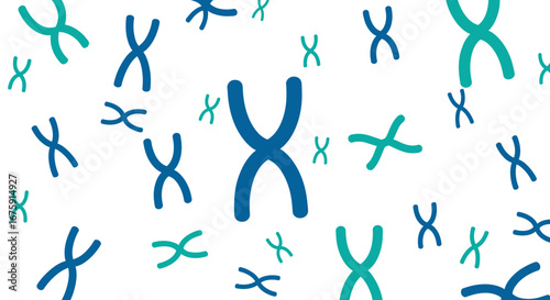 Understanding chromosomes the building blocks of heredity and genetic information flow within cells