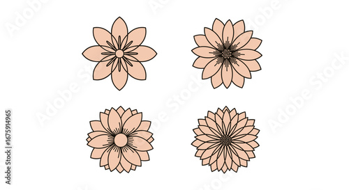 Beautifully illustrated delicate petal flowers in various stages of bloom and complexity