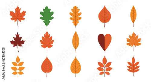 A diverse collection of autumnal leaf shapes and colors for seasonal design elements