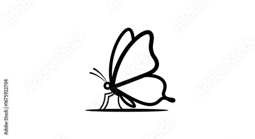 Minimalist black line art drawing of a butterfly with delicate wings.