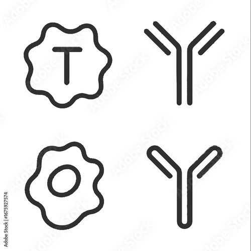 The image depicts essential immunological components like T cells and antibodies, crucial for understanding the body's defense mechanisms and medical science concepts.