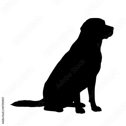 dog silhouette vector