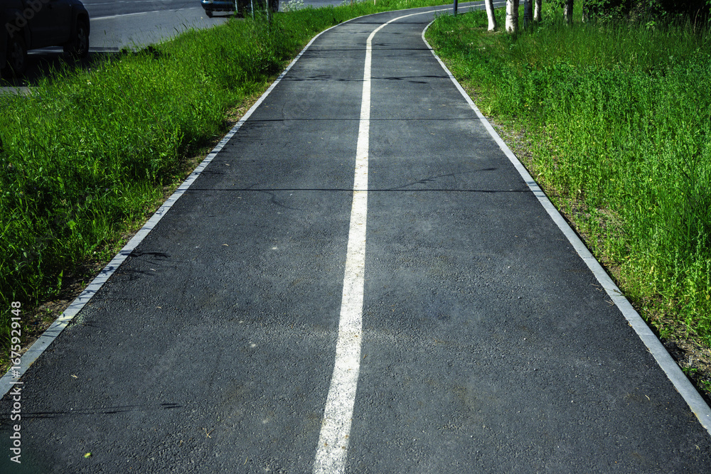 custom made wallpaper toronto digitalScenic Bike Path Through a Shady Park