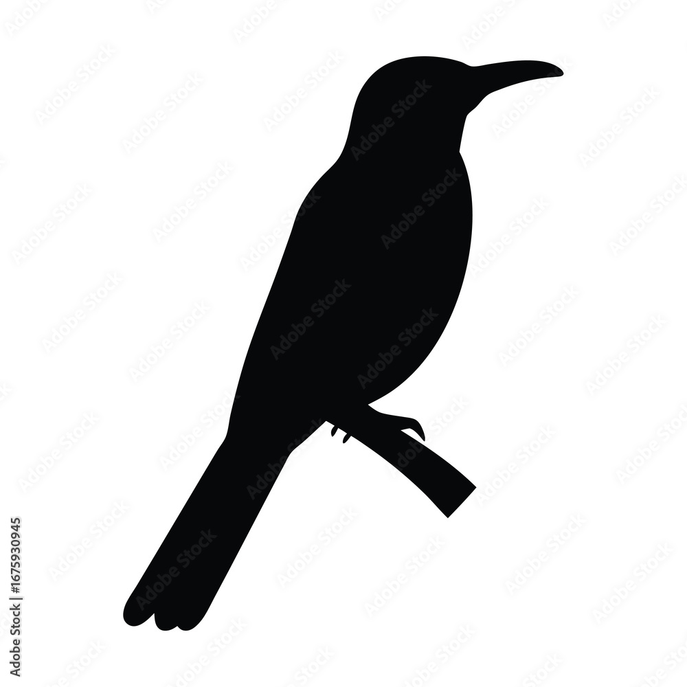 Fototapeta premium Download black bird silhouette vector image of a perched bird on branch for graphic design projects