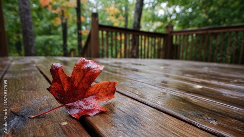 Wet red maple leaf on wooden deck, autumn foliage background
