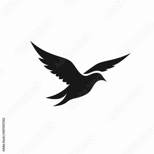 Graceful bird in flight, spreading freedom with wings, an isolated silhouette
