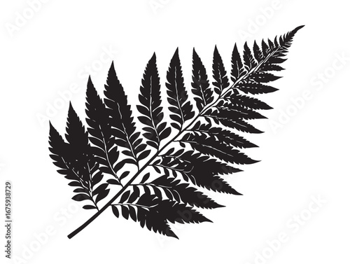 Elegant fern leaf silhouette vector illustration design art