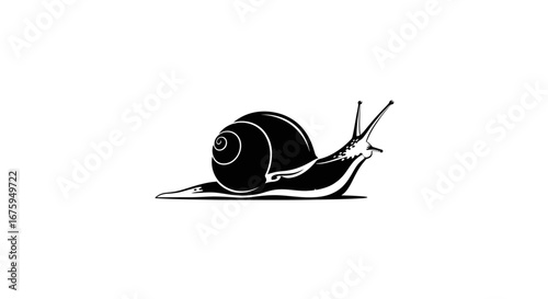 Black and white illustration of a snail with a spiral shell.
