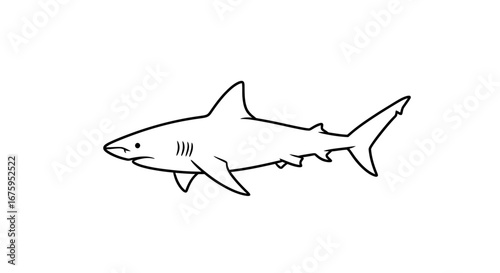 Simple Line Drawing of a Shark with Distinctive Fins and Gills.