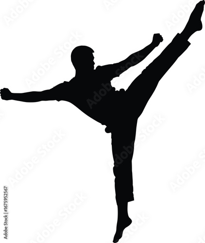 Silhouette of martial artist executing high kick representing strength, focus, discipline, combat skill, agility, fitness, power, and training.