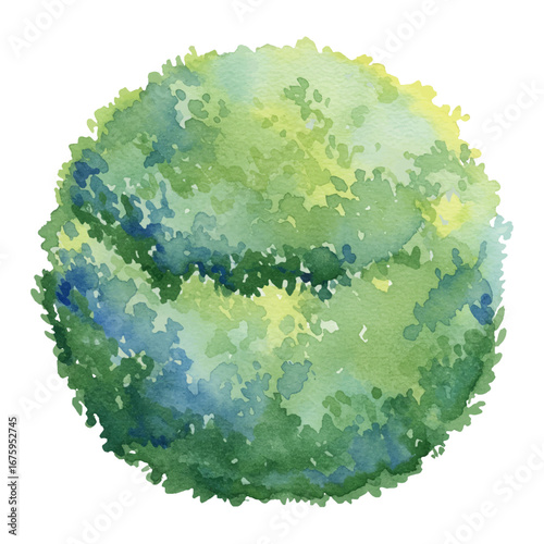 Green Sphere Shaped Bush with Lush Foliage Isolated Hand Drawn Watercolor Painting Illustration