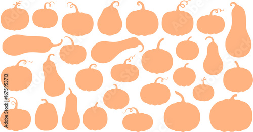 pumpkin collection silhouette. Big set of pumpkin silhouette. Vector illustration
