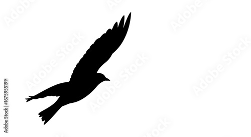 Graceful black bird silhouette in flight, wings fully extended.