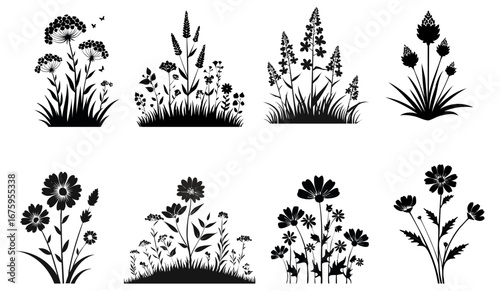 Wild flower silhouettes set. Vector illustration.