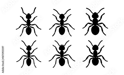 Silhouette collection of six ants in various poses on white background