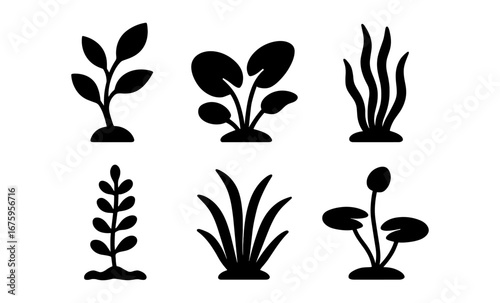Silhouette collection of various aquatic plants for modern design projects