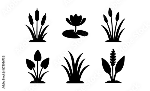 Silhouette aquatic plants collection: minimalist water flora icons
