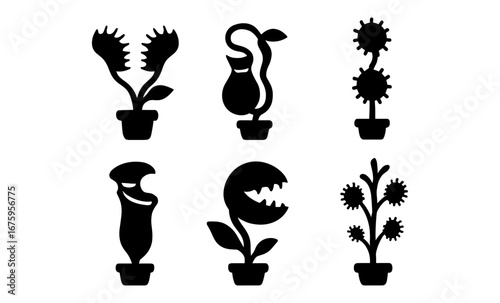 Black silhouette of carnivorous plants collection in pots