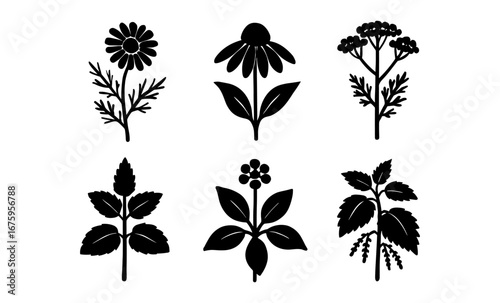 Black silhouette collection of medicinal herbs and flowers
