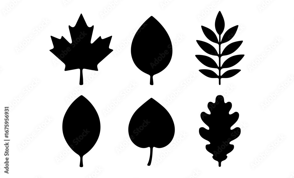 Obraz premium Collection of leaf silhouettes: maple, birch, oak, and more