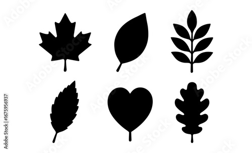 Collection of leaf silhouettes featuring various shapes and types