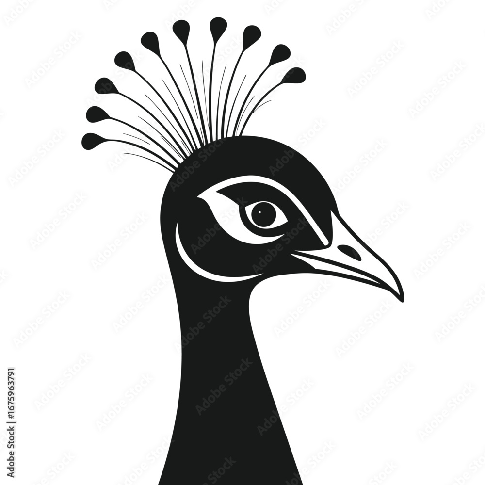Fototapeta premium Peacock Head Silhouette Vector Elegant Black Design