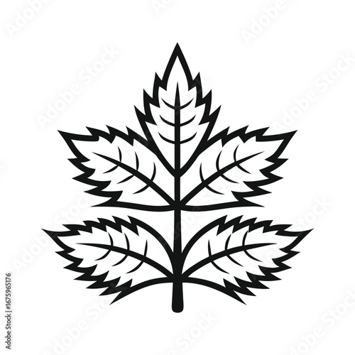 cannabis leaf vector illustration