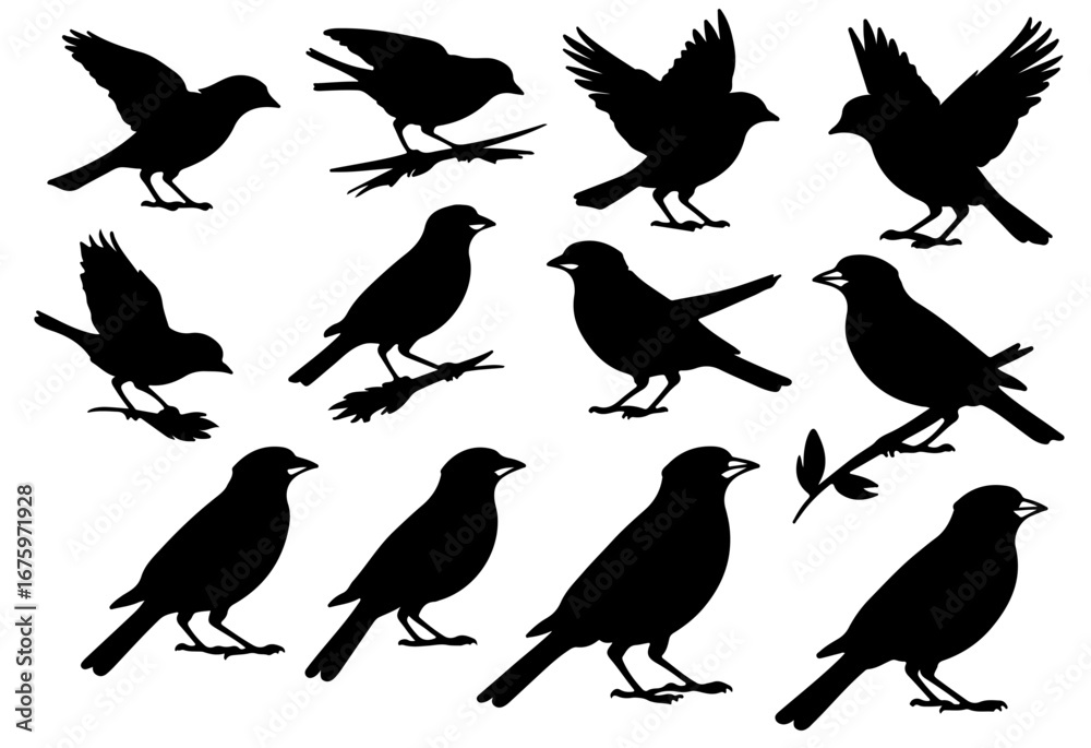 Fototapeta premium Sparrow silhouette set sitting, flying and hunting bird outline in different poses