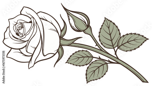 Detailed line art illustration of a rose with a bud and leaves on a white background design element