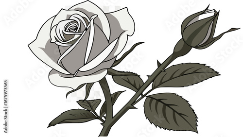 A grayscale illustration of a blooming rose with a bud on a thorny stem and leaves around it