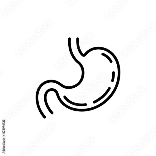 Human stomach organ illustration with outline isolated on white background for medical education and healthcare content depicting digestion and anatomy
