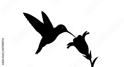 Minimalist black silhouette of a hummingbird hovering and drinking nectar from a flower.