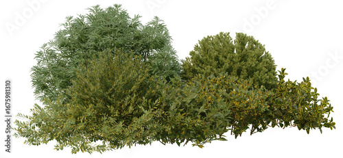 3D Illustration of Various Shrubs and Blooming Flowers Isolated on Transparent Background	