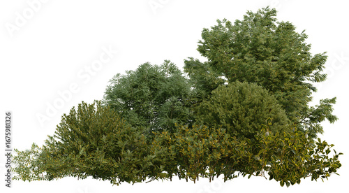 3D Illustration of Various Shrubs and Blooming Flowers Isolated on Transparent Background	